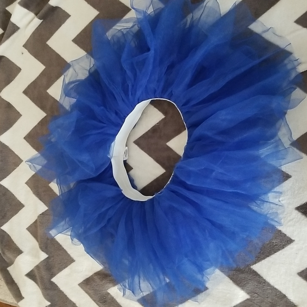 Blue Tulle Skirt